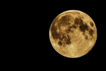 La Coquille Saint-Jacques